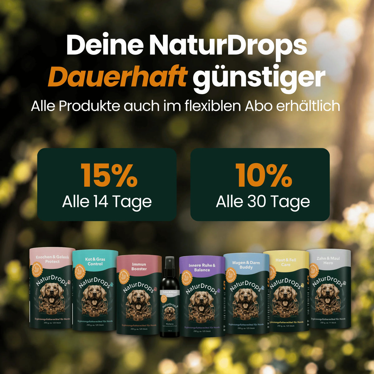 Knochen & Gelenk Protect – Für Knochen und Gelenke