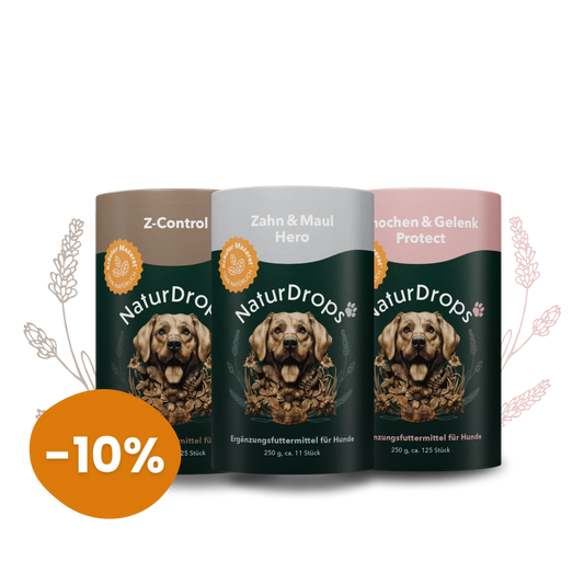 Individuelles Hundeprodukt bestehend aus drei ausgewählten NaturDrops Ergänzungen – natürliche Unterstützung Hund mit gesunden Supplementen und Snacks ohne chemische Zusätze