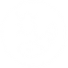 Insektenprotein und Süsskartoffel Icon