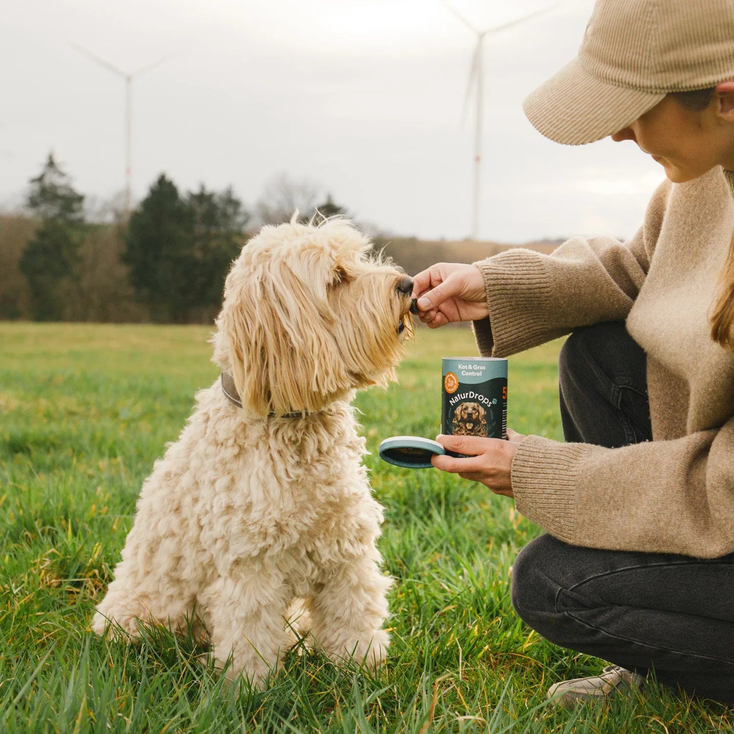 Kot Grass Produkt mit Hund auf Wiese, der neugierig nach Leckerli schaut
