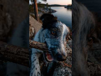 Zahn & Maul Hero Kaustangen – Natürliche Zahnpflege