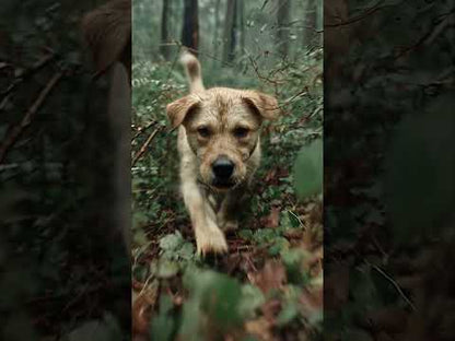 Z-Control – Natürlicher Zeckenschutz für deinen Hund