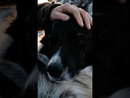 Ergänzungsfutter Haut und Fell – Für die Pflege von Haut, Fell und Krallen