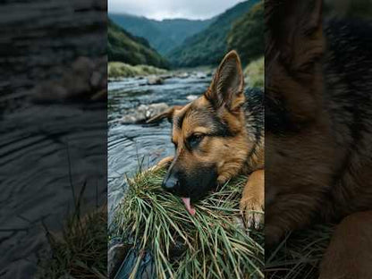 Stool & Grass Control – Reduces unnatural eating behavior