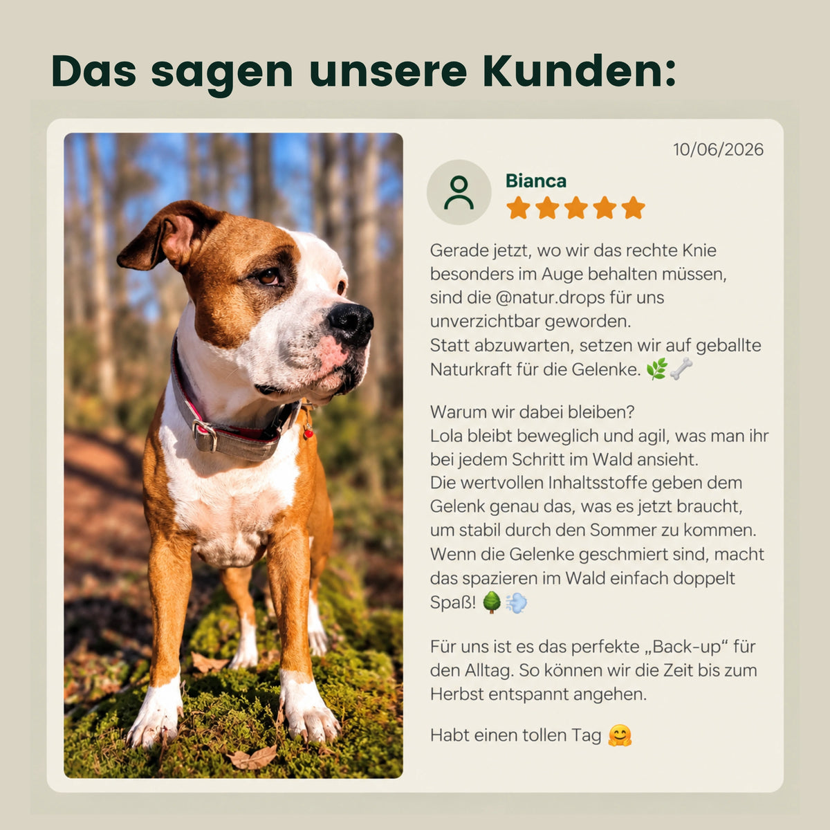 Gelenk-Mobility Komplex – Für Beweglichkeit, Gelenkwohl & Freude an Bewegung