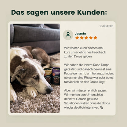 Innere Ruhe & Balance – Bei Stress, Nervosität und Ängstlichkeit