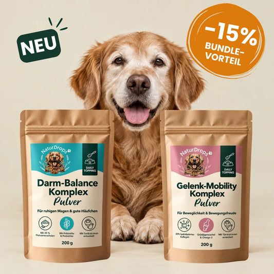 Senior Vital Bundle – Darm-Balance & Gelenk-Mobility Komplex