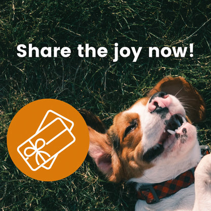 Gift voucher: The perfect gift for dogs
