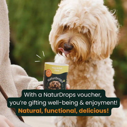 Gift voucher: The perfect gift for dogs