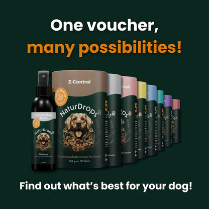 Gift voucher: The perfect gift for dogs