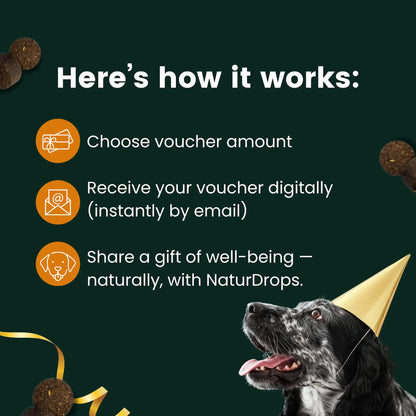 Gift voucher: The perfect gift for dogs
