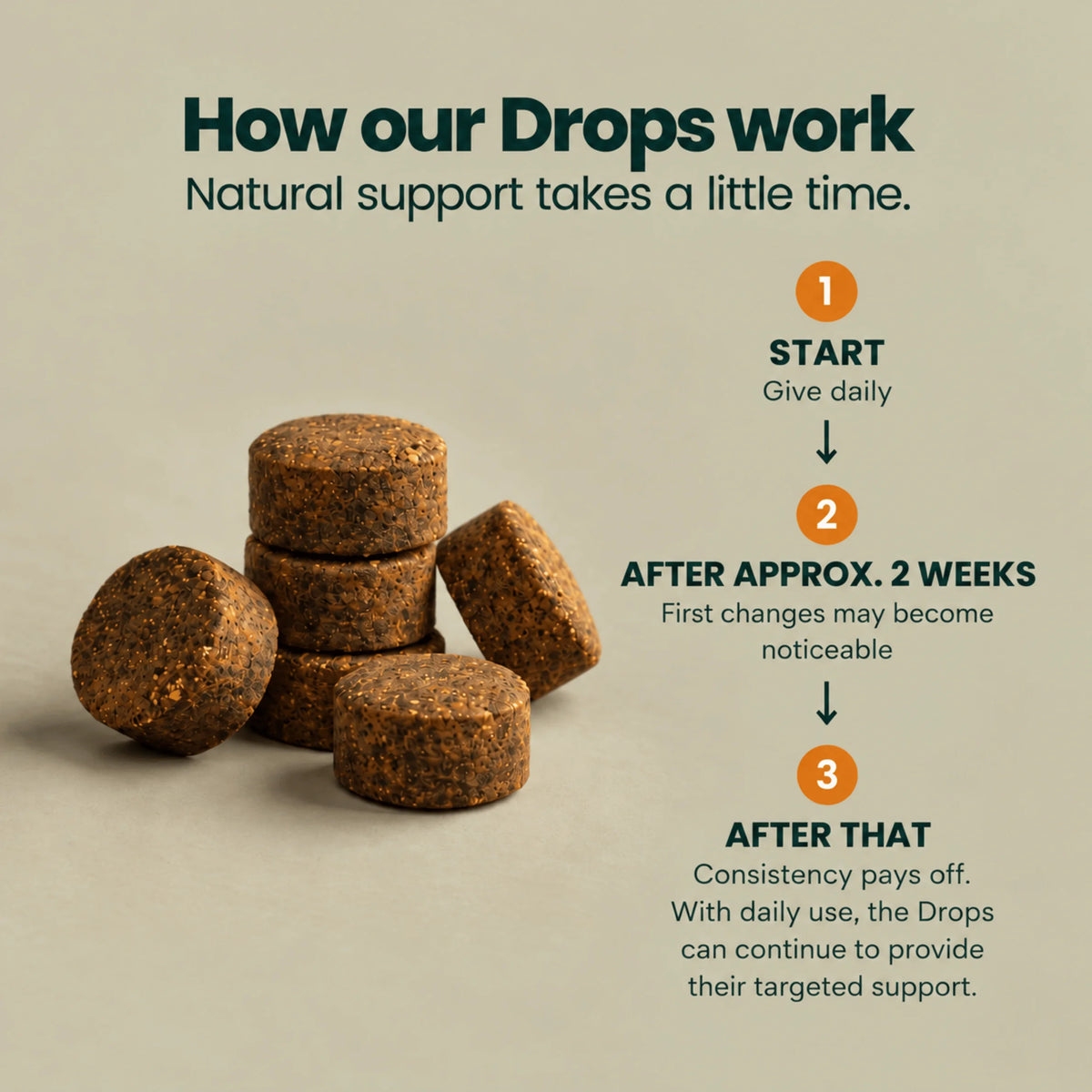 Z-Control – Naturally through tick season