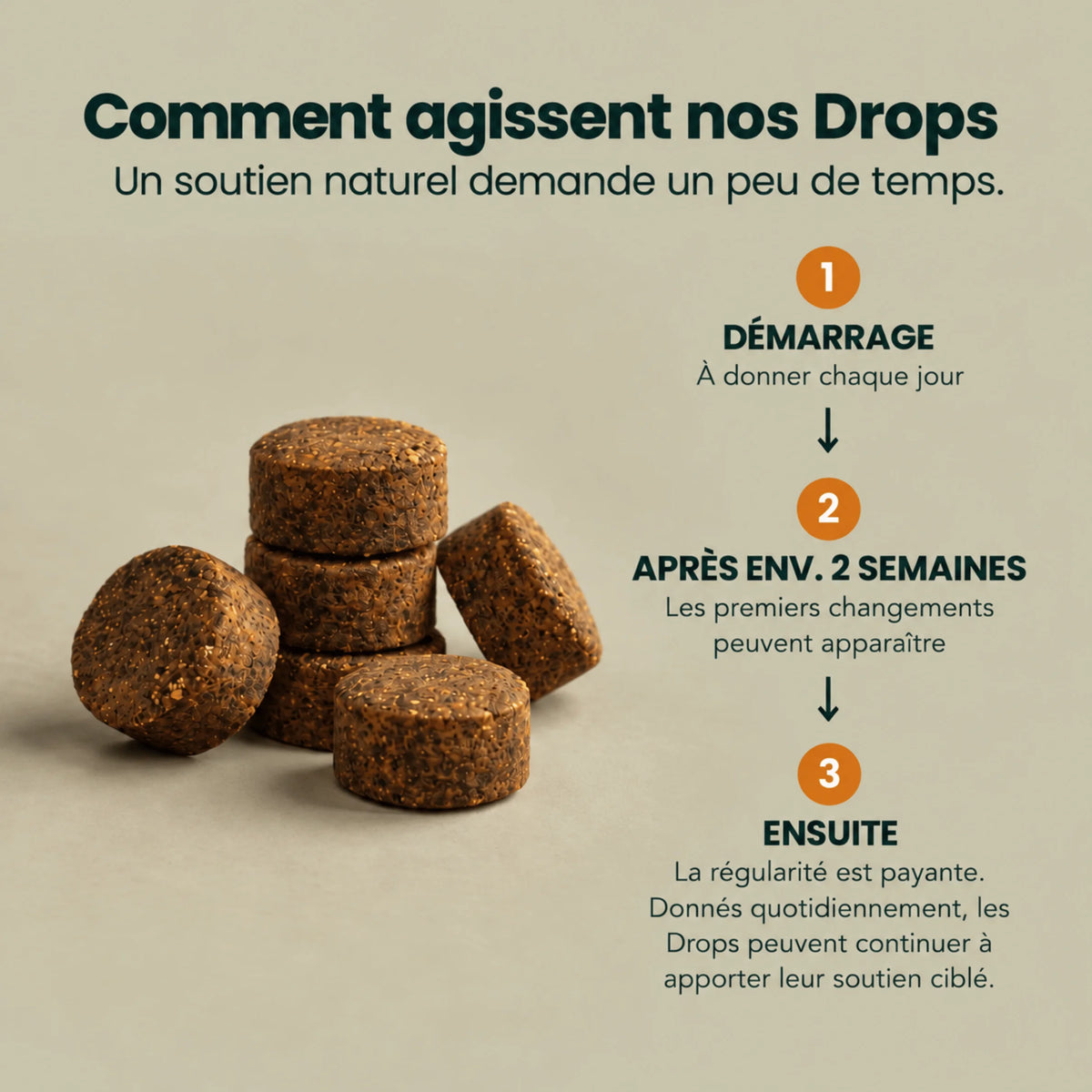 Z-Control – Naturellement à travers la saison des tiques