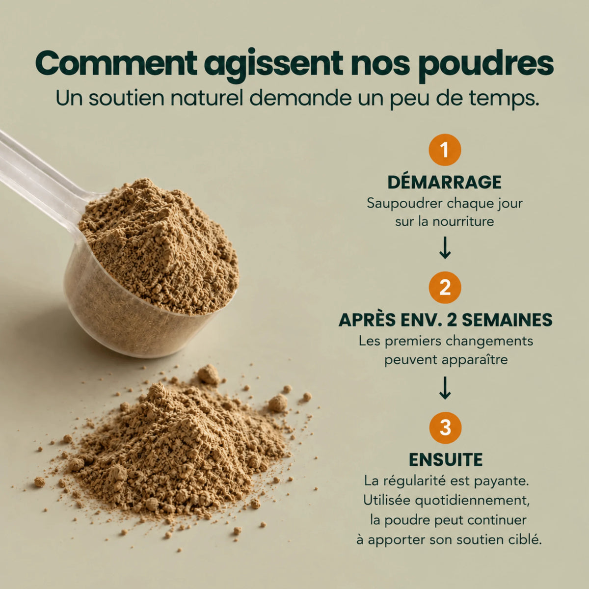 Complexe Sérénité-Équilibre – Pour le calme intérieur, la détente et l'équilibre émotionnel