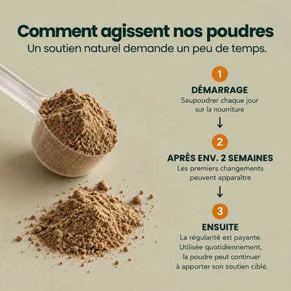 Complexe Sérénité-Équilibre – Pour le calme intérieur, la détente et l'équilibre émotionnel