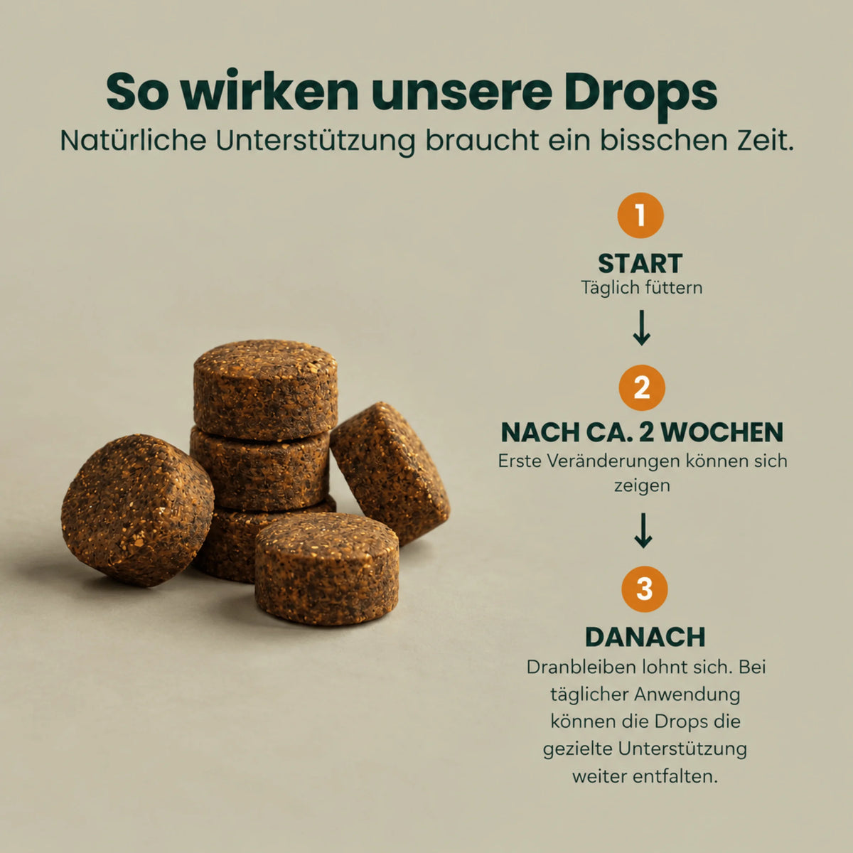 Knochen & Gelenk Protect – Für Knochen und Gelenke