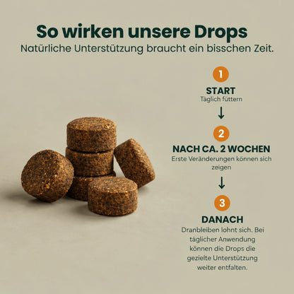 Knochen & Gelenk Protect – Für Knochen und Gelenke