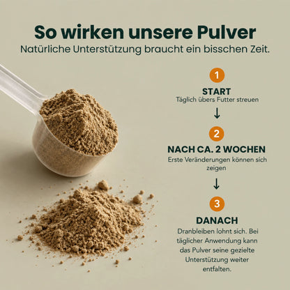 Darm-Balance Komplex – Für eine ausgeglichene Verdauung, ein ruhiges Bauchgefühl & gute Häufchen