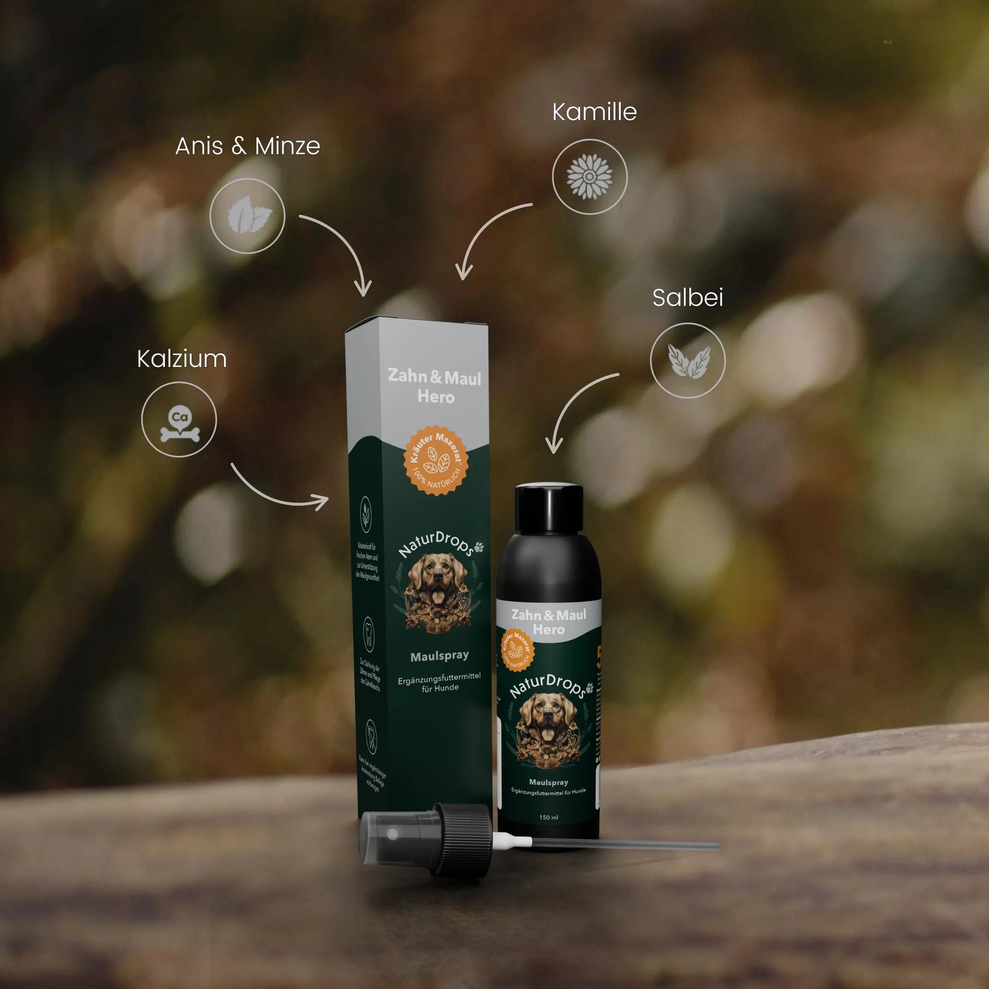 Zahn- und Maulspray Produkt für Hunde mit Icons der natürlichen Inhaltsstoffe Kalzium, Anis, Minze, Kamille und Salbei – unterstützt gesunde Zähne und frischen Atem
